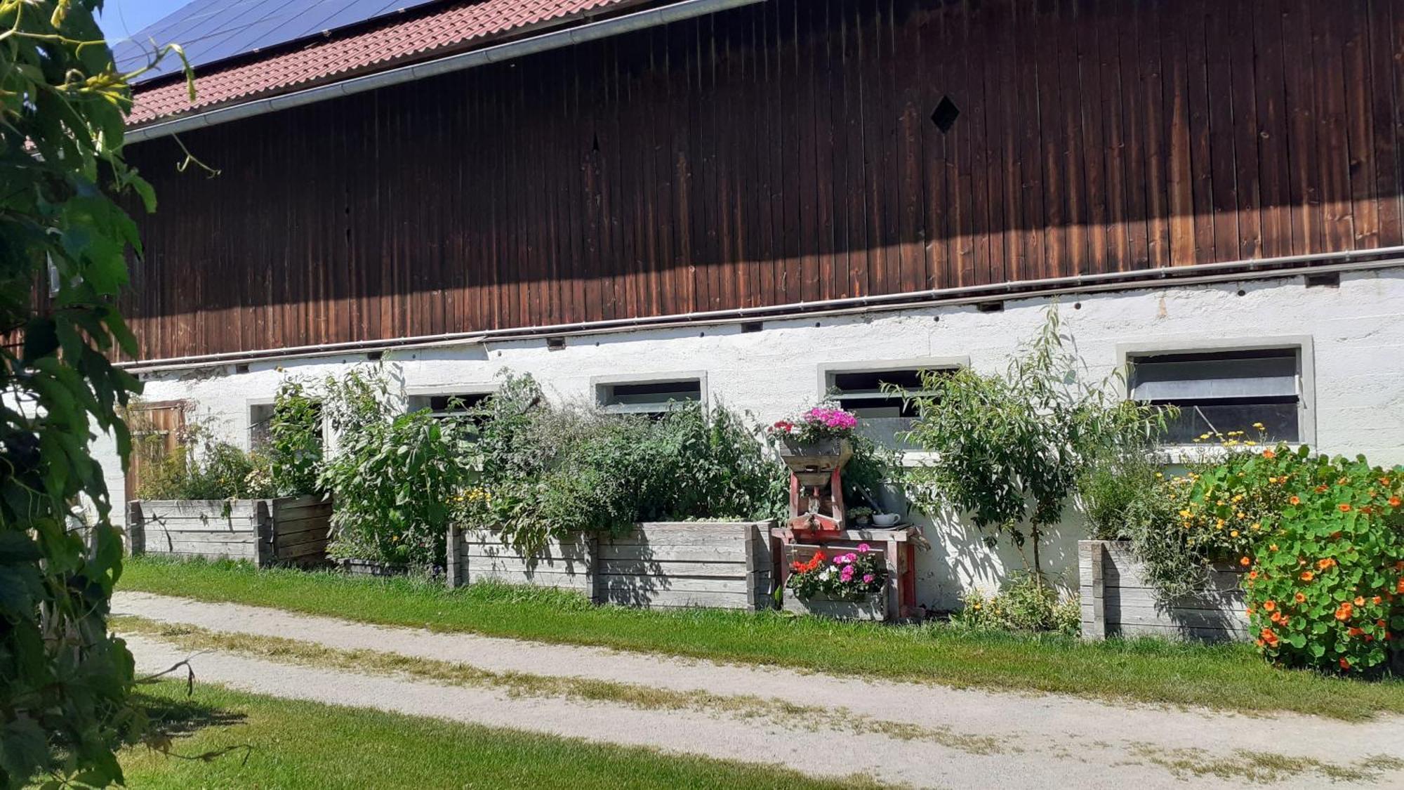 Pension Trillerhof 拉姆绍达赫斯坦 外观 照片